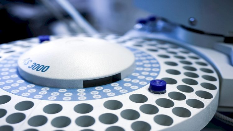 Plant-Derived Exosome Applications in Targeted Drug Delivery