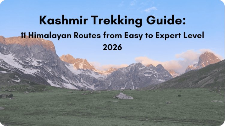 11 Kashmir Treks That Rewrote My Understanding of Mountain Adventures