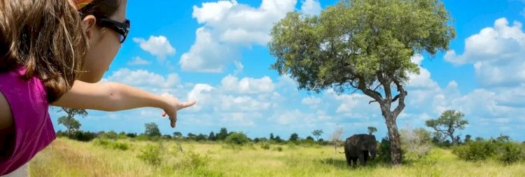 Discover Unforgettable Safari Tours in South Africa with African Travel