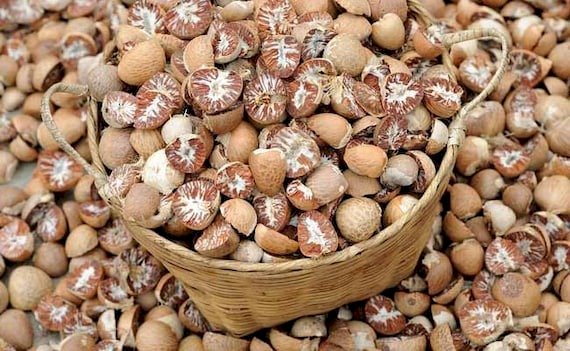 Roadmap for Setting up a Areca Nut Processing Plant Project | Report by IMARC Group