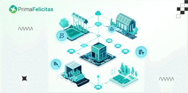How Blockchain Technology Ensures Security in the Digital Age?