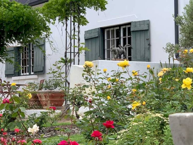 Elgin Western Cape Travel Guide: Discover Scenic Beauty, Vineyards and the Charm of Wildekrans Country House