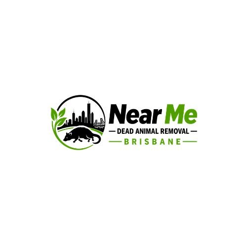 Why Professional Dead Animal Removal Is Safer Than DIY Methods in Brisbane