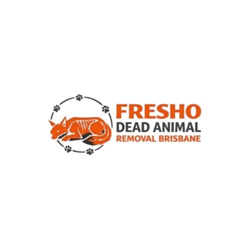 Dead Rodent Smell? Here’s How Fresho Experts Handle It