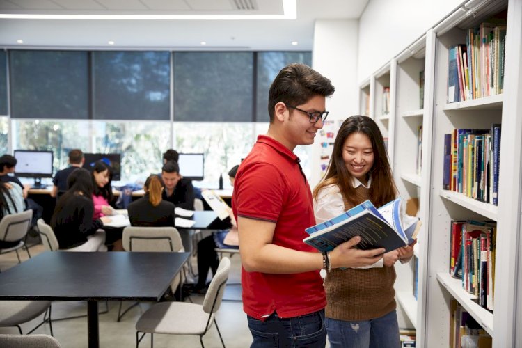 Online HNC Assignment Help: Expert Guidance for Academic Succes