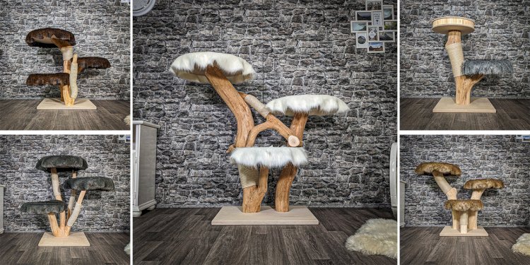 Naturkratzbaum Mit Mehreren Ebenen Für Abenteuerlustige Katzen Im Zuhause