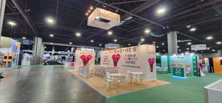 Top Exhibition Stall Design Company for Creative Booths