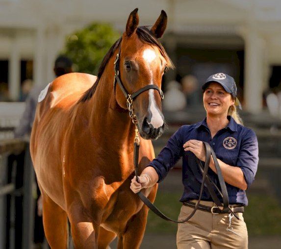 RWITC Mumbai: The Home of Indian Horse Racing's Greatest Traditions