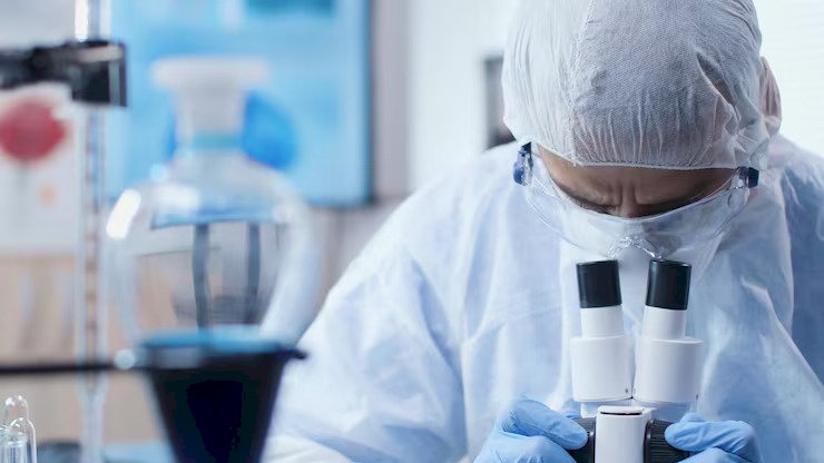 What are the top 3 AI investments for clinical development leaders?
