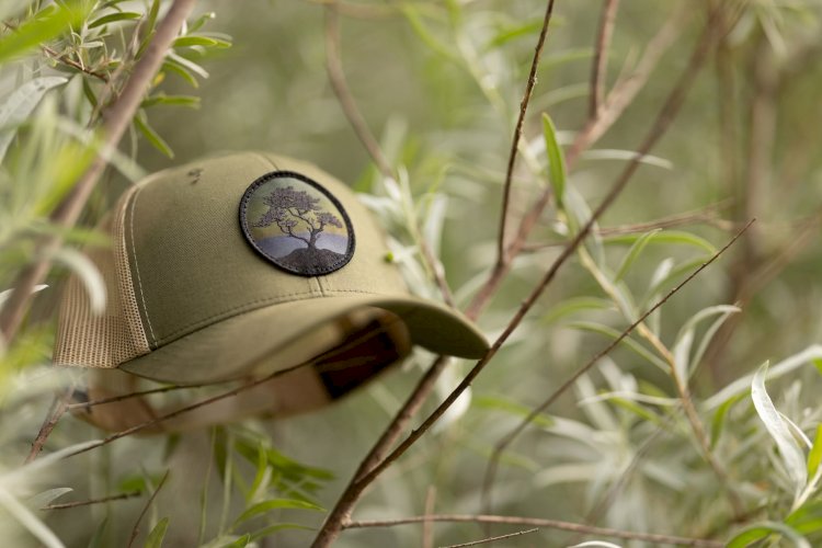 Bird Patch Hats Inspired by Nature | Tommy Breeze