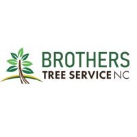 Brothers Tree Service